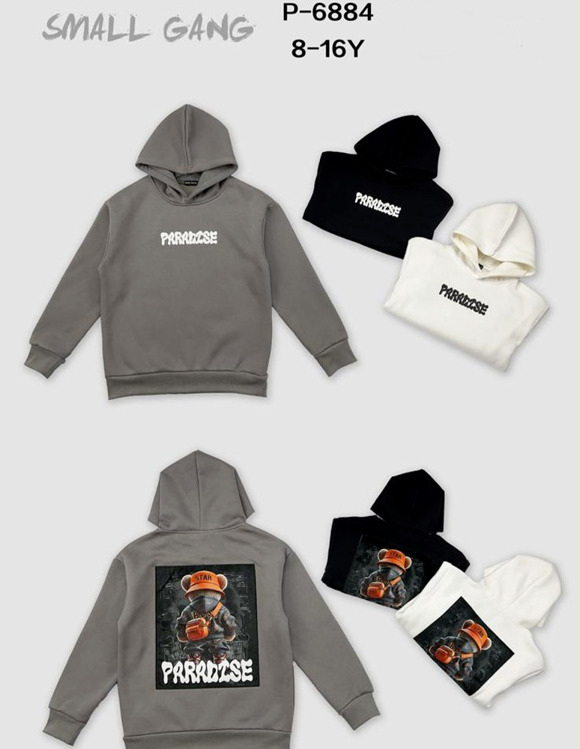 Immagine di Felpa cappuccio ragazzo Small Gang Art. P6884