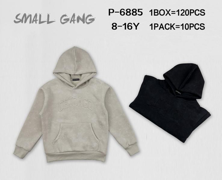 Immagine di Felpa cappuccio ragazzo Small Gang Art. P6885